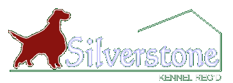 silverstone